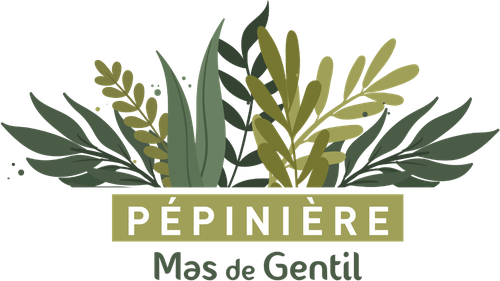 Pépinière du Mas de Gentil
